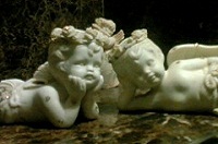 ����N���u