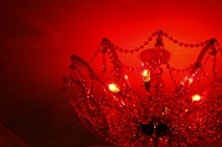 ����N���u